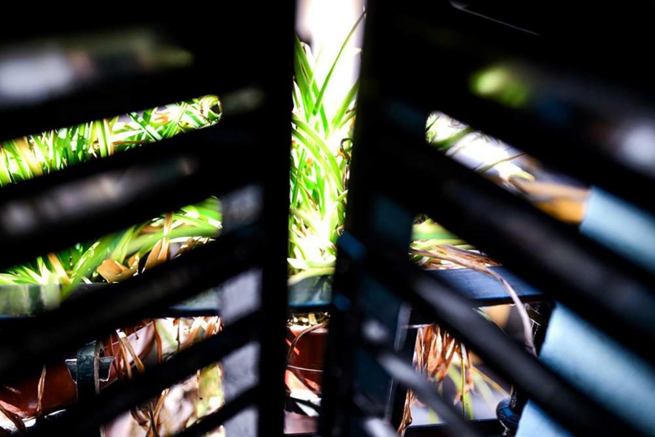 סביליה Casa Alfalfa 2 Dormitorios Terraza Y Solarium Privado מראה חיצוני תמונה