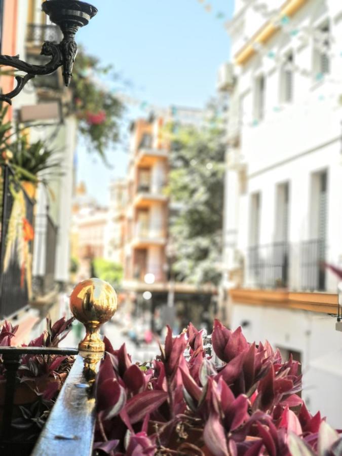סביליה Casa Alfalfa 2 Dormitorios Terraza Y Solarium Privado מראה חיצוני תמונה
