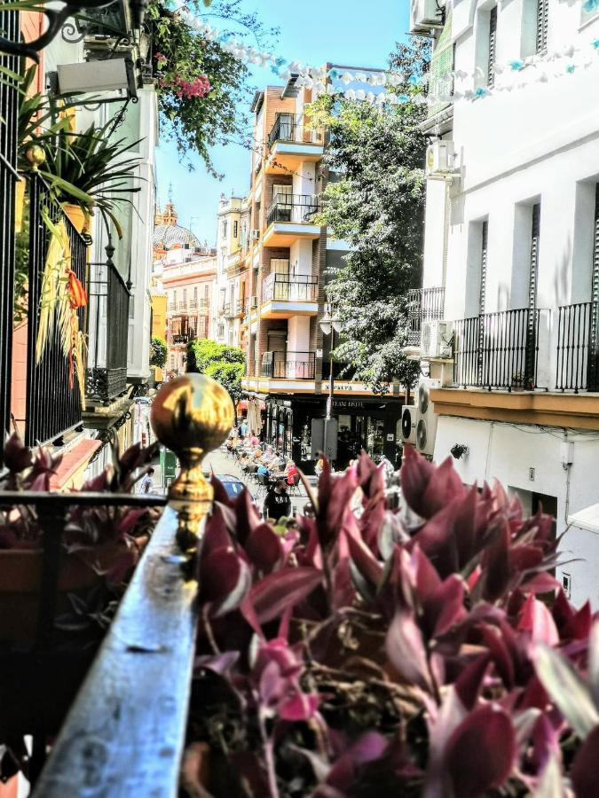 סביליה Casa Alfalfa 2 Dormitorios Terraza Y Solarium Privado מראה חיצוני תמונה